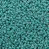 MIYUKI Round Rocailles Beads X-SEED-G009-RR0435-3