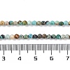 Natural African Turquoise(Jasper) Beads Strands G-N342-29A-5