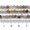 Natural Labradorite Beads Strands G-G161-A09-03-5