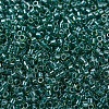 MIYUKI Delica Beads SEED-X0054-DB0919-2