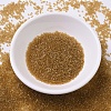 MIYUKI Delica Beads SEED-MY11-DB0119-2