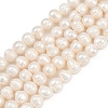 Natural Cultured Freshwater Pearl Beads Strands PEAR-I007-07Z-08C-2