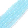 Electroplate Glass Beads Strands EGLA-A034-J10mm-L06-1
