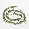 Chips Natural Green Apatite Beads Strands X-G-N0164-26-3
