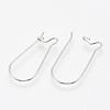 Tarnish Resistant 304 Stainless Steel Hoop Earrings STAS-T031-02-2