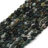 Natural Moss Agate Beads Strands G-Q060-D10-2