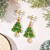 Glass Dangle Earrings EJEW-MZ00803-1