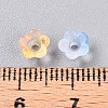 Frosted Transparent Acrylic Beads X-OACR-N137-72F-4