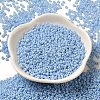 Baking Paint Glass Seed Beads SEED-P006-03A-21-2