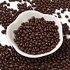 6/0 Opaque Baking Paint Glass Seed Beads SEED-M012-02A-14-2