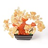 Natural Yellow Quartz Chips Money Tree Bonsai Display Decorations DJEW-B007-08C-3