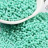 Baking Paint Glass Seed Beads SEED-A033-04D-1