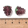 Handmade Lampwork Beads LAMP-WH0012-02C-3