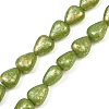 Czech Pressed Glass Beads GLAA-I061-55-1