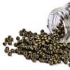 TOHO Round Seed Beads X-SEED-TR11-0223F-1