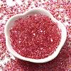 Transparent Baking Paint Glass Seed Beads SEED-A033-06A-01-2