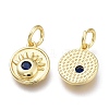 Brass Micro Pave Cubic Zirconia Charms ZIRC-H100-03-6