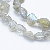 Natural Labradorite Beads Strands LS-G-K203-12-3