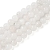 Natural Rainbow Moonstone Beads Strands G-I249-B04-04-2