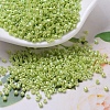 MIYUKI Delica Beads SEED-MY11-DB0169-1