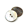 Abalone Shell/Paua Shell BSHE-I011-04A-2