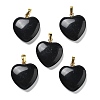 Natural Obsidian Pendants G-G956-B40-G-1