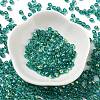 Glass Seed Beads X1-SEED-H002-A-A617-2