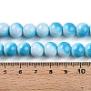 Baking Paint Glass Beads Strands DGLA-N012-10mm-05-4