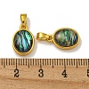 Rack Plating Brass Pave Natural Paua Shell Oval Charms KK-U025-07G-02-3