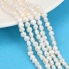 Natural Cultured Freshwater Pearl Beads Strands PEAR-P064-19D-05A-1