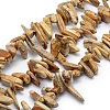 Natural Picture Jasper Beads Strands G-K220-17-1