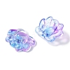 Baking Paint Glass Beads X-GLAA-S202-13A-2