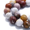 Natural Ocean Jasper Beads Strands G-P457-C03-06-2