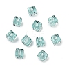 K9 Glass Imitation Austrian Crystal Beads GLAA-D023-04-03-1