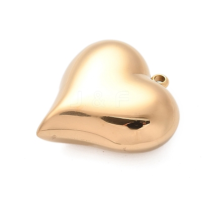 304 Stainless Steel Pendants STAS-Q349-02D-G-1