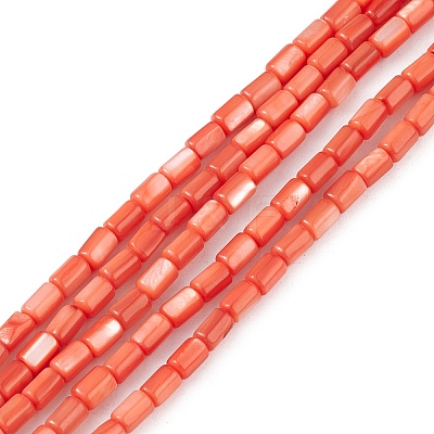 Natural Freshwater Shell Dyed Beads Strands SHEL-M018-12-02-1