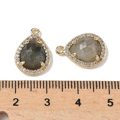 Natural Labradorite Faceted Teardrop Pendants X-G-U028-02G-06-1