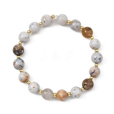 Natural Dendritic Opal & Brass Spacer Beads Beaded Stretch Bracelets for Women BJEW-JB14072-1