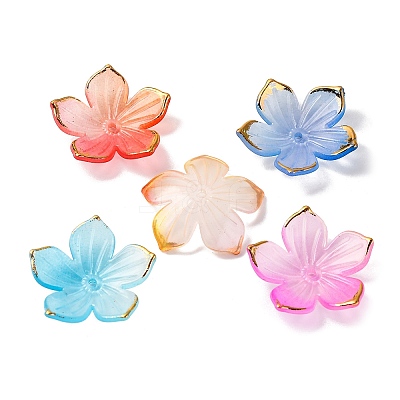Transparent Acrylic Bead Caps X-TACR-P011-03G-1