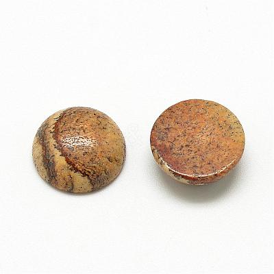 Natural Picture Jasper Cabochons G-R416-8mm-42-1