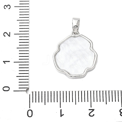 Brass Acrylic Pendants KK-D357-15P-1