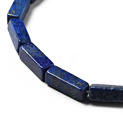 Natural Lapis Lazuli Beads Strands X-G-I326-04-1