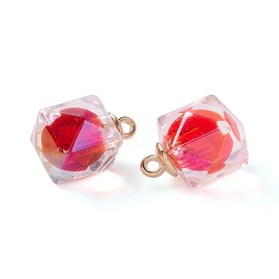 Acrylic Pendants TACR-C021-01-1
