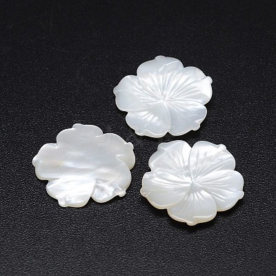 Natural White Shell Mother of Pearl Shell Flower Cabochons SSHEL-E553-01-1