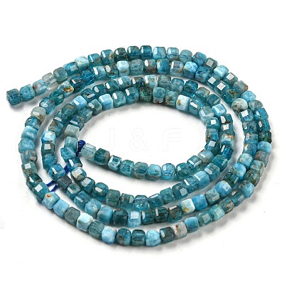 Natural Apatite Beads Strands G-P457-B01-14-1