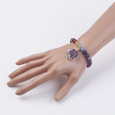 Chakra Jewelry Natural & Synthetic Mixed Stone Beads Charm Bracelet BJEW-JB03608-1