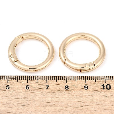 Alloy Spring Gate Clasps FIND-H012-05KCG-1
