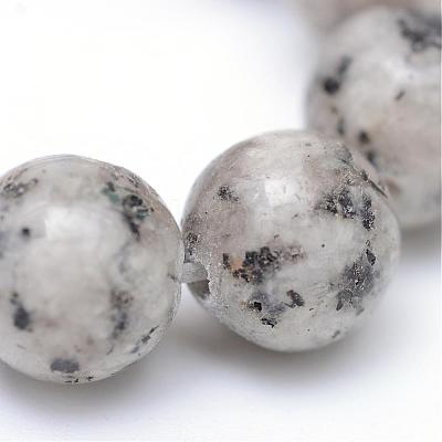 Natural Sesame Jasper/Kiwi Jasper Bead Strands G-R345-10mm-11-1
