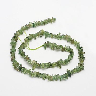 Chips Natural Green Apatite Beads Strands X-G-N0164-26-1