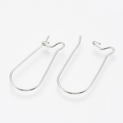 Tarnish Resistant 304 Stainless Steel Hoop Earrings STAS-T031-02-1